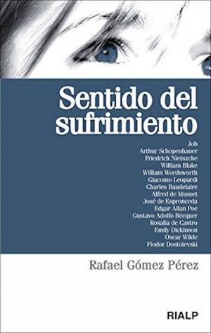 Cover of the book Sentido del sufrimiento by Onésimo Díaz Hernández