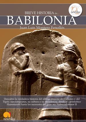 Cover of the book Breve historia de Babilonia by Víctor San Juan