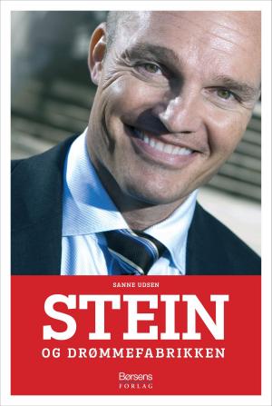 Cover of the book Stein og drømmefabrikken by Palle Lauring
