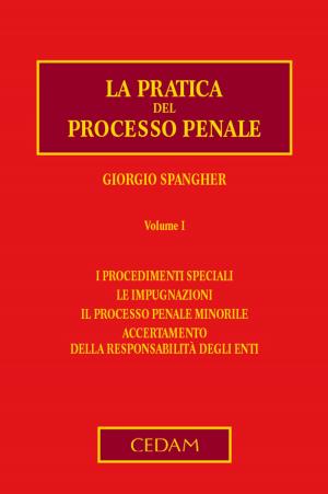 Cover of the book La pratica del processo penale. Volume I by NASO MASSIMILIANO