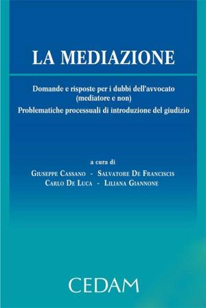 Cover of the book La mediazione by CHIARITO PIERLUIGI, De Filippis Bruno, DE LA VILLE SUR ILLON CARLO, LETTIERI LINDA A., MANZO ROBERTO, MENCARINI LETIZIA, RAUTY RAFFAELE, SADDI ALBA