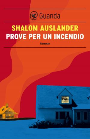 Cover of the book Prove per un incendio by EDUARDO RIBEIRO ASSIS