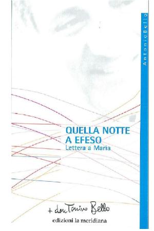 Cover of the book Quella notte a Efeso by Giuseppe Casale