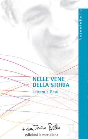 Cover of the book Nelle vene della storia by Luigi Bettazzi