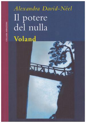 Cover of the book Il potere del nulla by Susan Slater