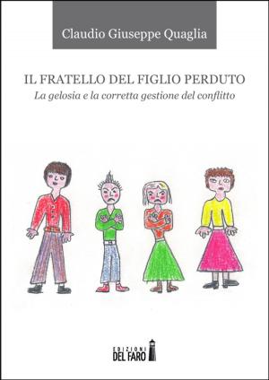 Book cover of Il fratello del figlio perduto