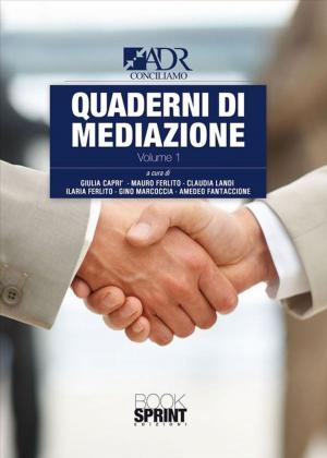 Cover of the book Quaderni di mediazione - Volume Uno by Paolo dii Nerma