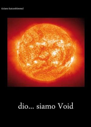 Cover of the book Siamo Void by Joe Pompilio