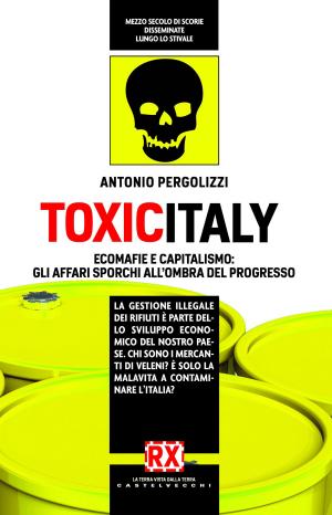 Cover of the book Toxicitaly by Ágnes Heller