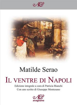 Book cover of Il ventre di Napoli