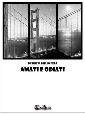 Book cover of Amati e odiati