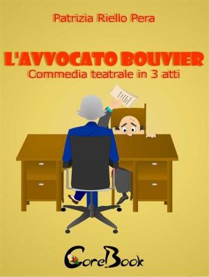 Book cover of L'avvocato Bouvier