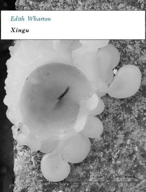 Cover of the book Xingu by Joseph Conrad