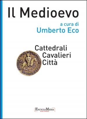 Book cover of Il Medioevo - Cattedrali Cavalieri Città