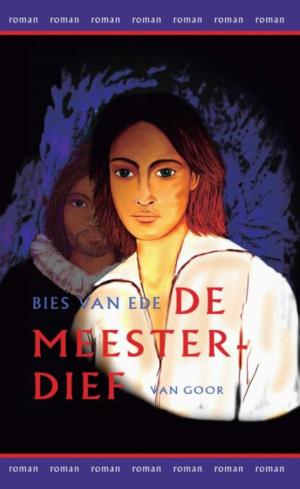 Cover of the book De meesterdief by Rolf Dobelli