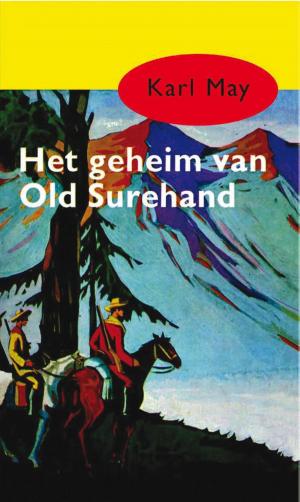 Cover of the book Het geheim van Old Surehand by Terry Pratchett