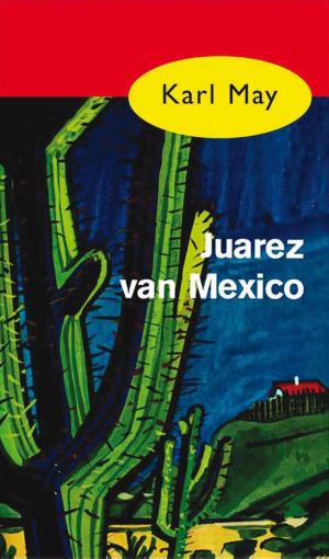 bigCover of the book Juarez van Mexico by 