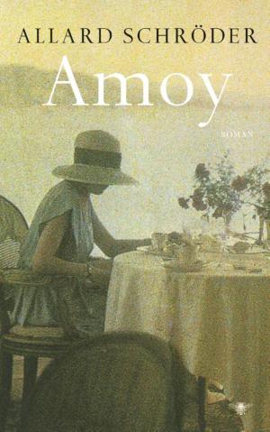 Cover of the book Amoy by Peter Buwalda