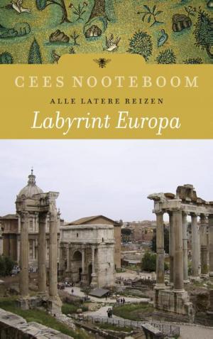 Cover of the book Labyrint Europa by Paul Auster