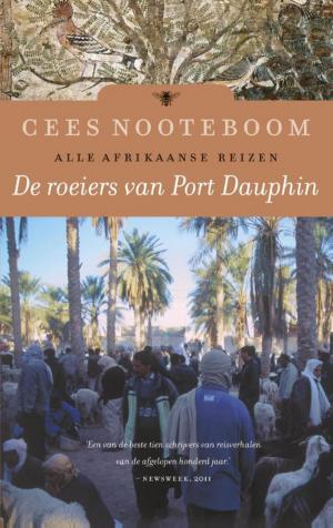 Cover of the book De roeiers van Port Dauphin by Georges Simenon