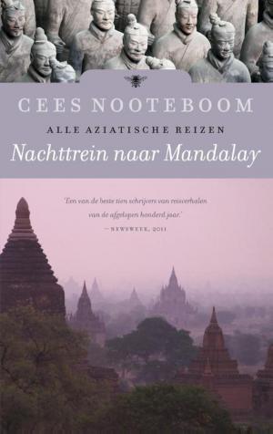 Book cover of Nachttrein naar Mandalay