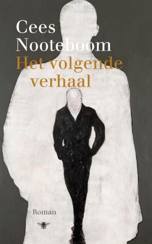Cover of the book Het volgende verhaal by Jan Siebelink