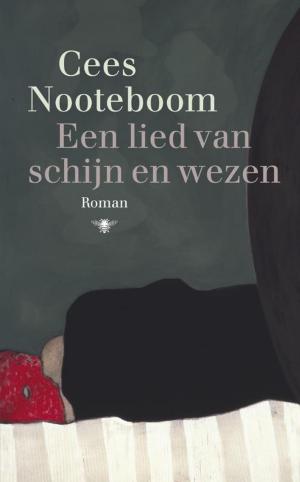 Cover of the book Een lied van schijn en wezen by Conner Kressley, Rebecca Hamilton