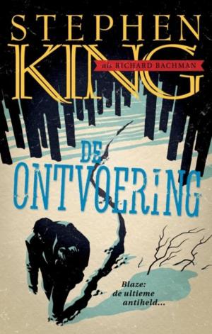 Cover of the book De ontvoering by Tisa Pescar