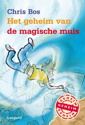 Cover of the book Het geheim van de magische muis by Johan Fabricius, Suzanne Braam