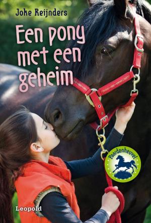 Book cover of Een pony met een geheim
