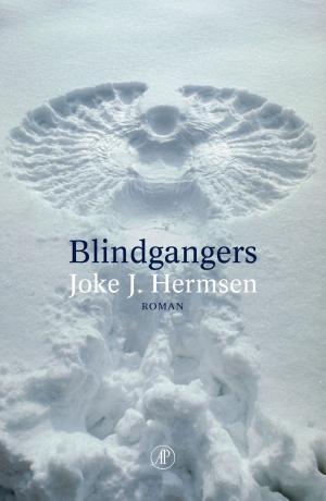 Cover of the book Blindgangers by Anders de la Motte