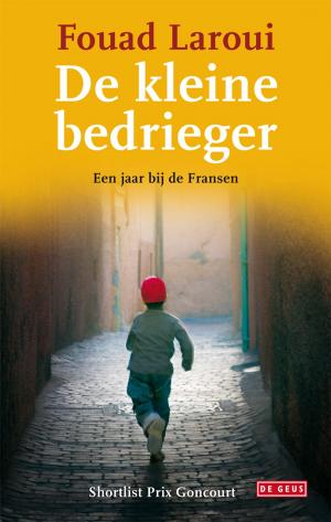Cover of the book De kleine bedrieger by Henning Mankell