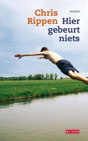 Cover of the book Hier gebeurt niets by Jaap Robben