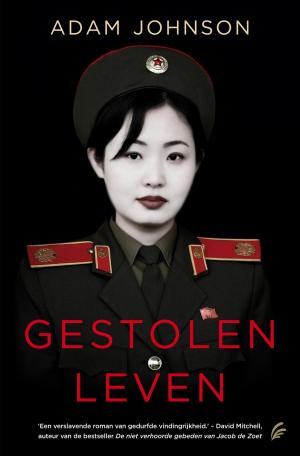 Cover of the book Gestolen leven by Gérard de Villiers