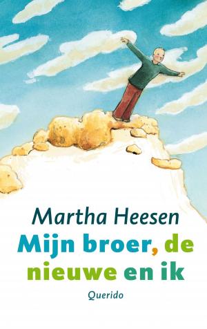 Cover of the book Mijn broer, de nieuwe en ik by Toon Tellegen