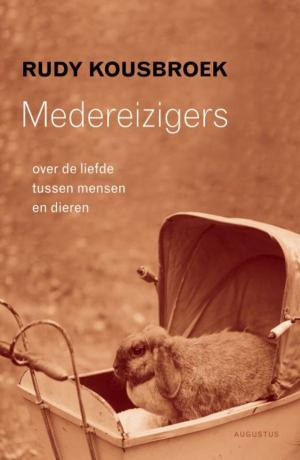Cover of the book Medereizigers by Dimitri Verhulst