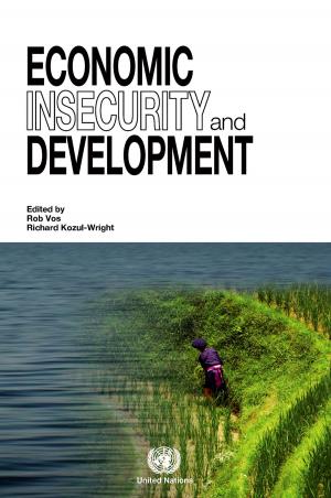 Cover of the book Economic Insecurity and Development by United Nations
