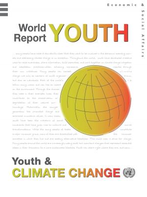 Cover of the book World Youth Report by United Nations