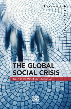 Cover of the book The Global Social Crisis by UN WOMEN