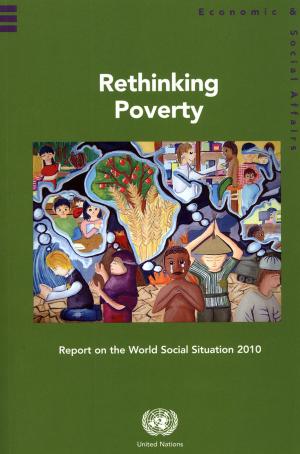 Book cover of Report on the World Social Situation 2010