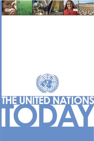 Book cover of United Nations Today, The