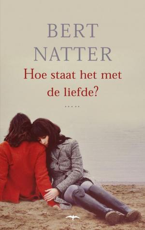 Cover of the book Hoe staat het met de liefde? by Johan Boef