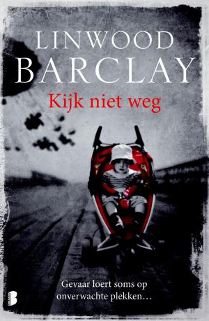 Cover of the book Kijk niet weg by Rodica Doehnert