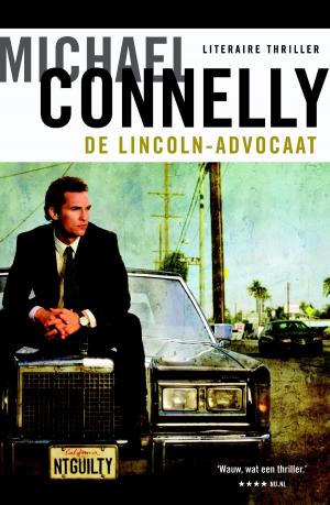 Cover of the book De lincoln-advocaat by Michael Scott
