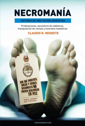 Cover of the book Necromanía by Silvia Hopenhayn