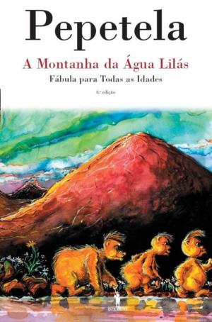 Book cover of A Montanha da Água Lilás