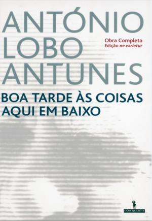 bigCover of the book Boa Tarde às Coisas Aqui em Baixo by 