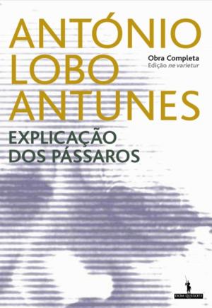 Cover of the book Explicação dos Pássaros by Patrick Modiano