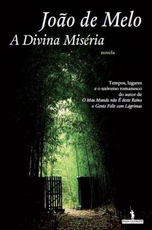 Cover of the book A Divina Miséria by PEPETELA
