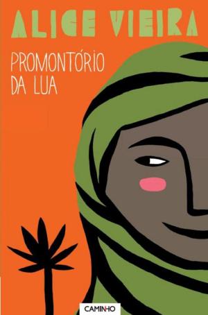Book cover of Promontório da Lua